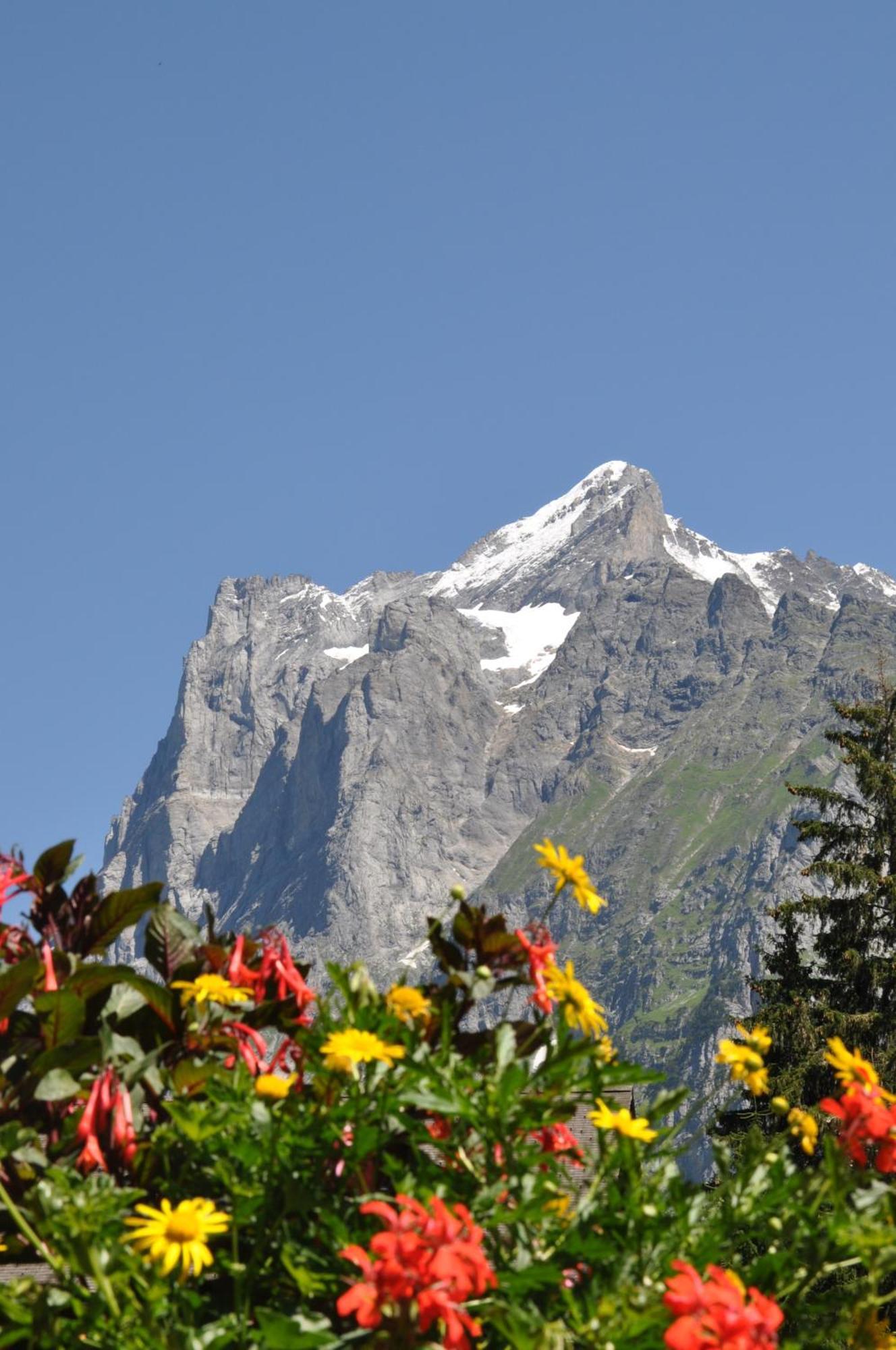 Hotel Gletschergarten Grindelwald Exteriör bild